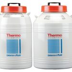 Locator 4 Plus,
4000 vials