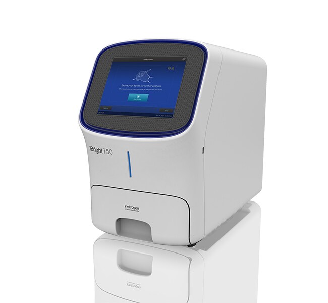 A44116_650x600-650 iBright™ CL750 Imaging System - Image 1